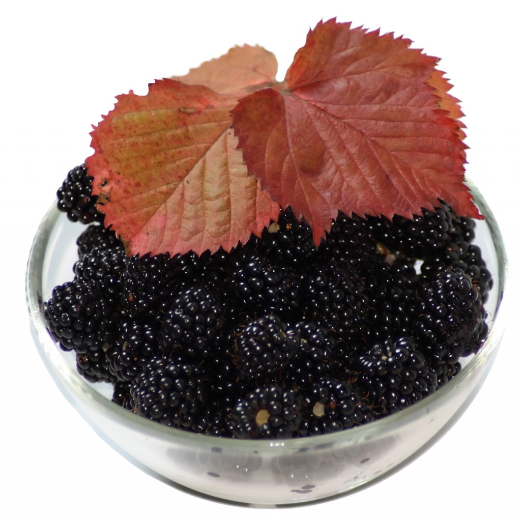 Bowl with blackberry and red leafs